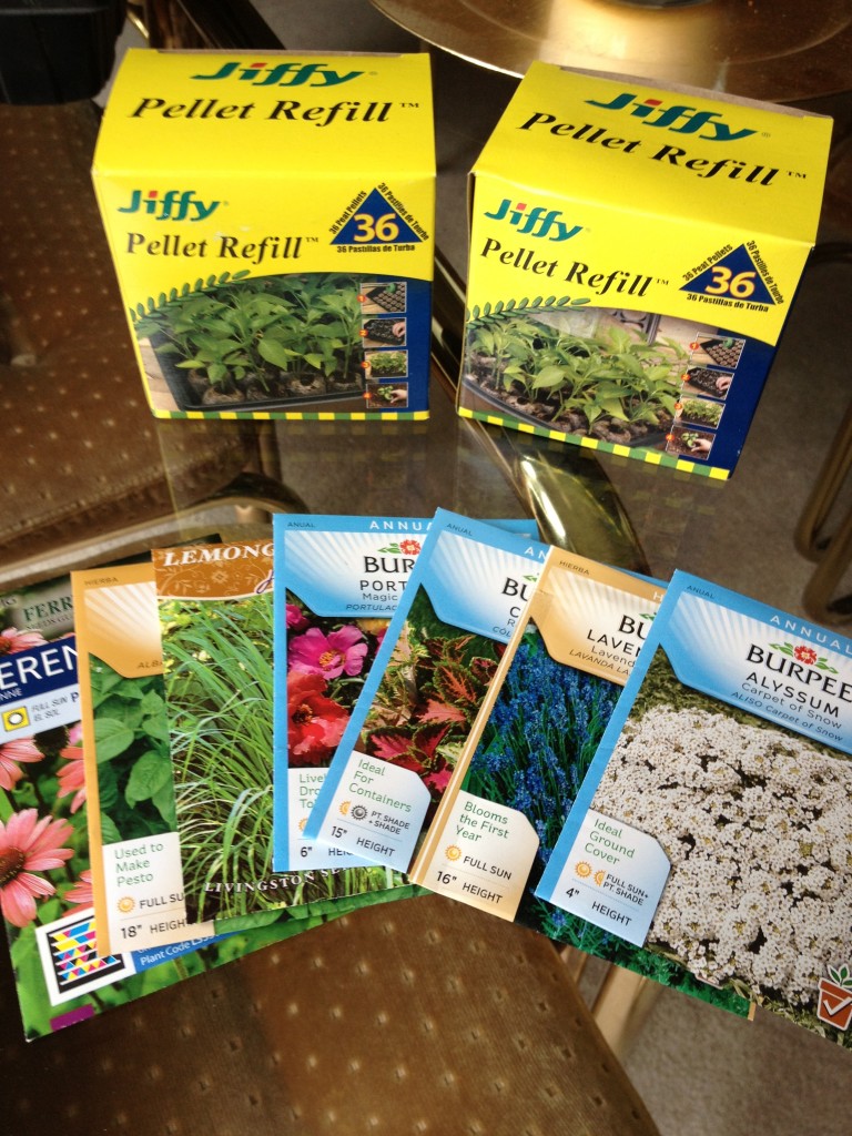 Easy Way to Start an Herb Garden Inside | organizedCHAOSOnline