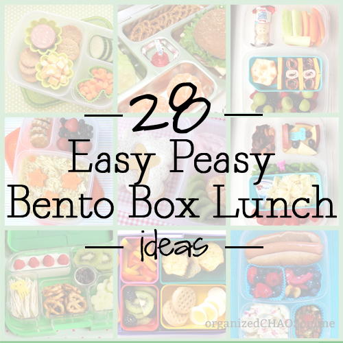 28 Easy Peasy Bento Box Lunch Ideas