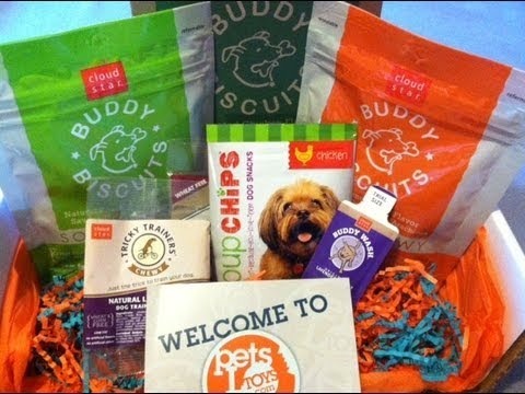 More Than 100 Monthly Subscription Services and Tips on How to Start Your Own | organized CHAOS online - Pets Love Toys