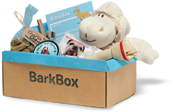 More Than 100 Monthly Subscription Services and Tips on How to Start Your Own | organized CHAOS online - Bark Box