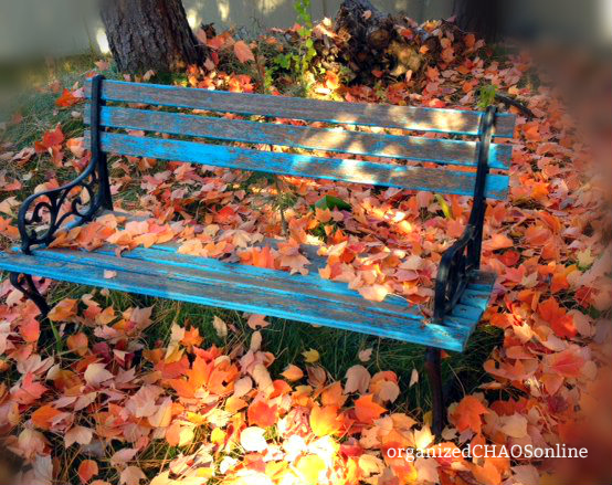 How to Quick Prep your Yard for Winter | organizedCHAOSonline